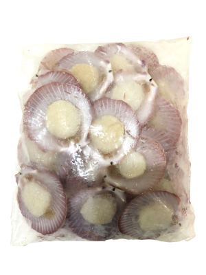 MHYS0577 B026Half Shell Scallop 半壳带子 500g